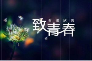 德州商务KTV招聘模特,德州夜总会选择我们团队助你迈向财富之