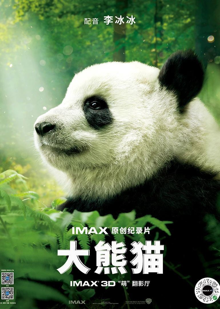 《中国大熊猫》